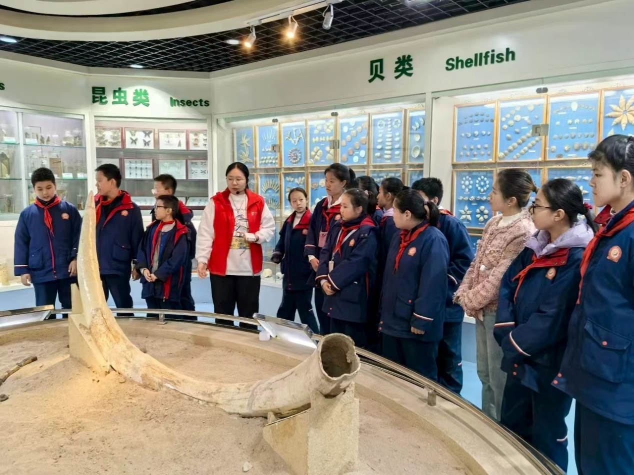 图片4.png 图片4.png