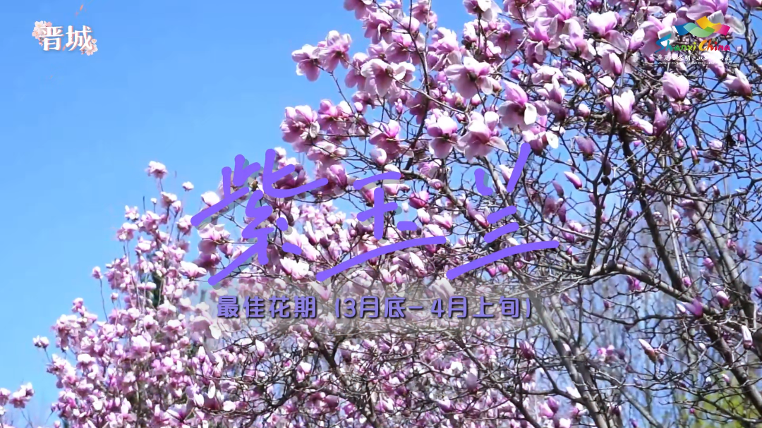 微信图片_20260317110538_3986_36.png 微信图片_20260317110538_3986_36.png