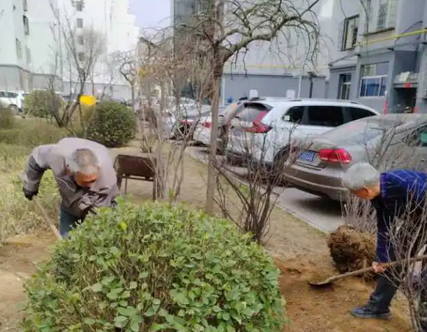 山西吕梁邦泰物业安居小区：守护一抹绿，共筑幸福家