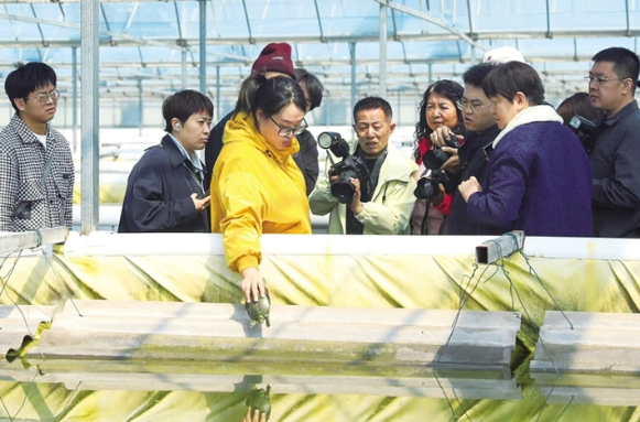 ScreenShot_2026-04-01_091221_216.png ScreenShot_2026-04-01_091221_216.png