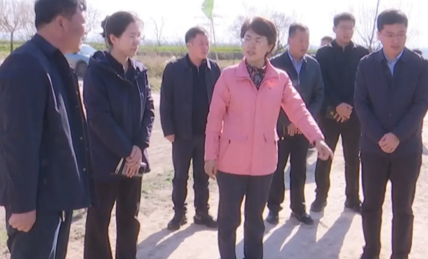 运城稷山县委书记王润深入化峪镇就基层党建、森林防火等工作进行