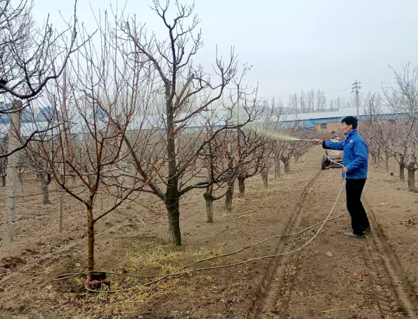开闸即灌，水润良田——太原尖草坪区向阳镇高标准农田水网，让村