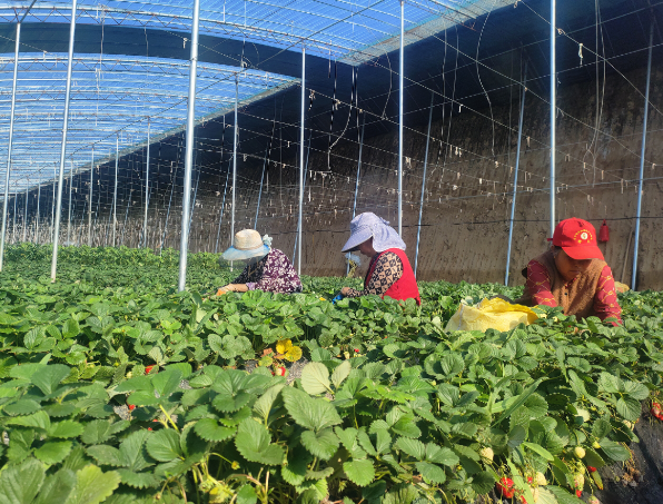 ScreenShot_2026-04-14_190421_204.png ScreenShot_2026-04-14_190421_204.png