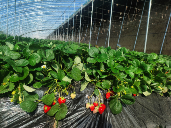 ScreenShot_2026-04-14_190537_924.png ScreenShot_2026-04-14_190537_924.png