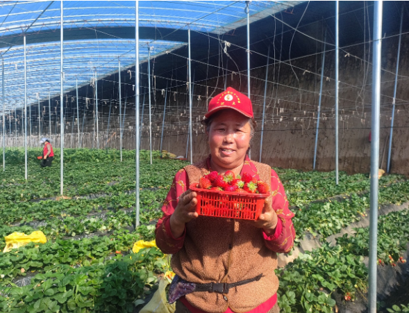 ScreenShot_2026-04-14_190546_285.png ScreenShot_2026-04-14_190546_285.png