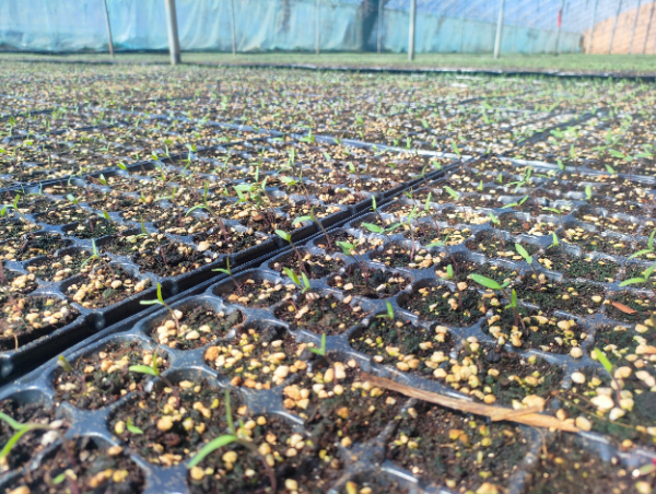 ScreenShot_2026-04-14_190655_148.png ScreenShot_2026-04-14_190655_148.png