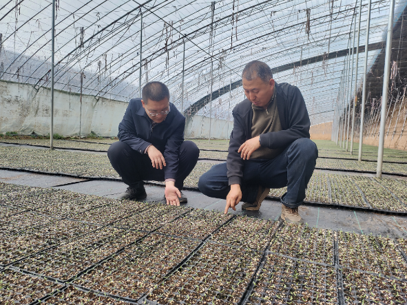 ScreenShot_2026-04-14_190703_676.png ScreenShot_2026-04-14_190703_676.png