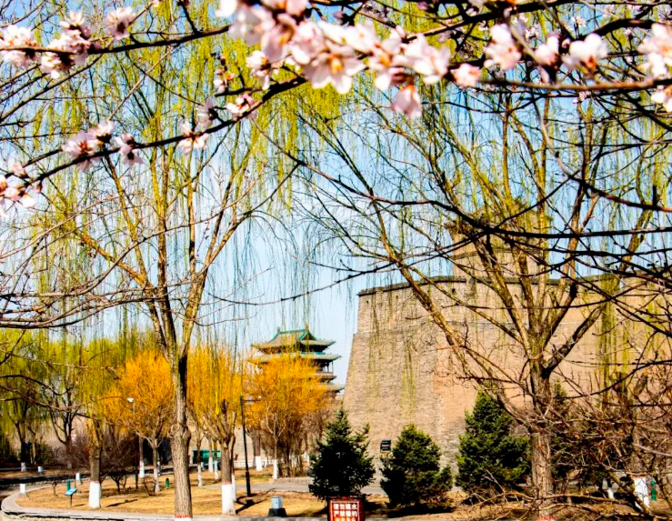 ScreenShot_2026-04-15_161854_835.png ScreenShot_2026-04-15_161854_835.png