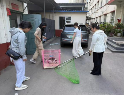 太原万柏林区兴华街道：整治流浪猫乱象  营造宜居社区环境
