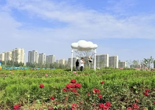 晋中：“城市留白”藏诗意
