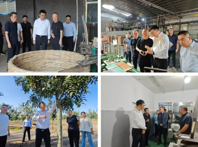 临汾：杨帆赴洪洞、霍州督导检查林业重点工作并开展巡林