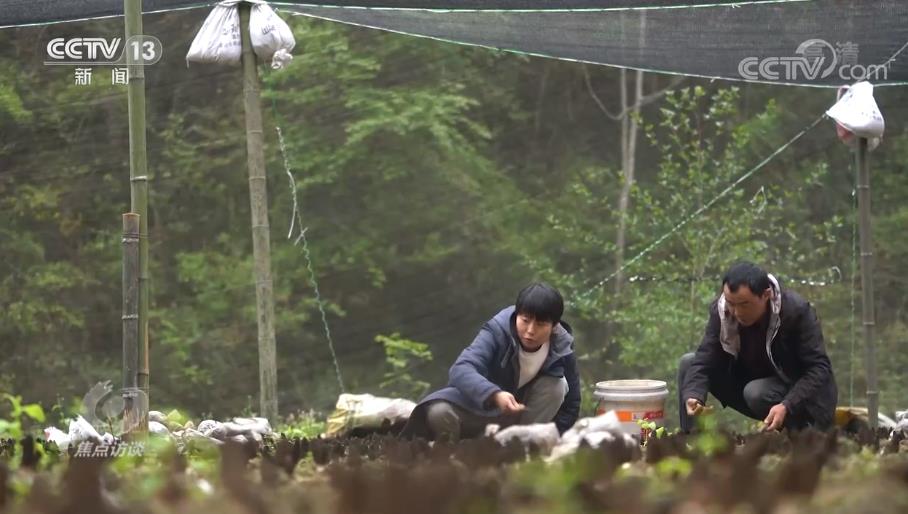 焦点访谈：我们村的新能人 强电商 巧工匠