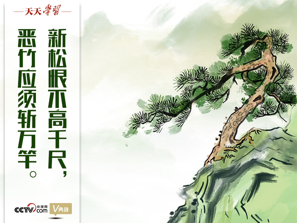 “典”亮新时代｜新松恨不高千尺，恶竹应须斩万竿