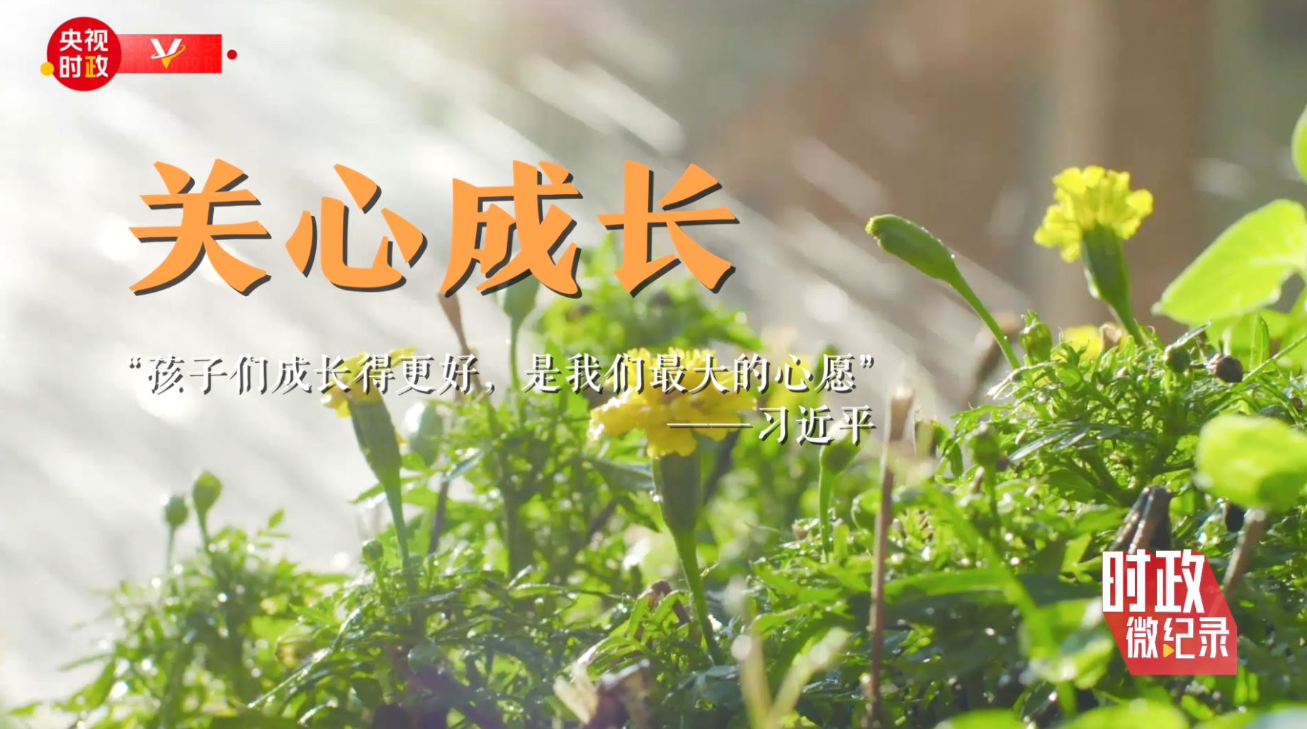 头条 · 时政微纪录丨十年——“大朋友”习近平和“小树苗”们的暖心瞬间
