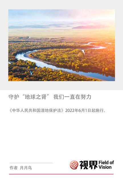 守护“地球之肾” 我们一直在努力