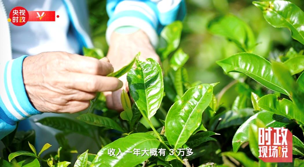 与总书记聊特色产业 话乡村振兴