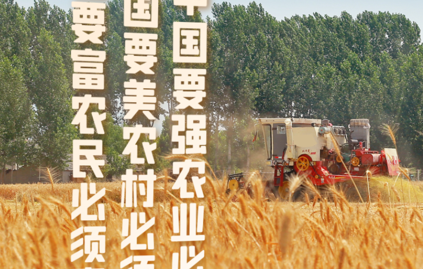 夏收时节 重温总书记说给乡亲们的知心话