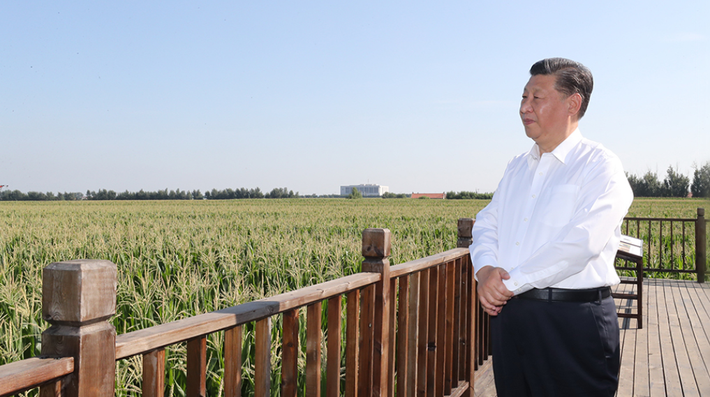绷紧粮食安全这根弦 习近平这些话要牢记