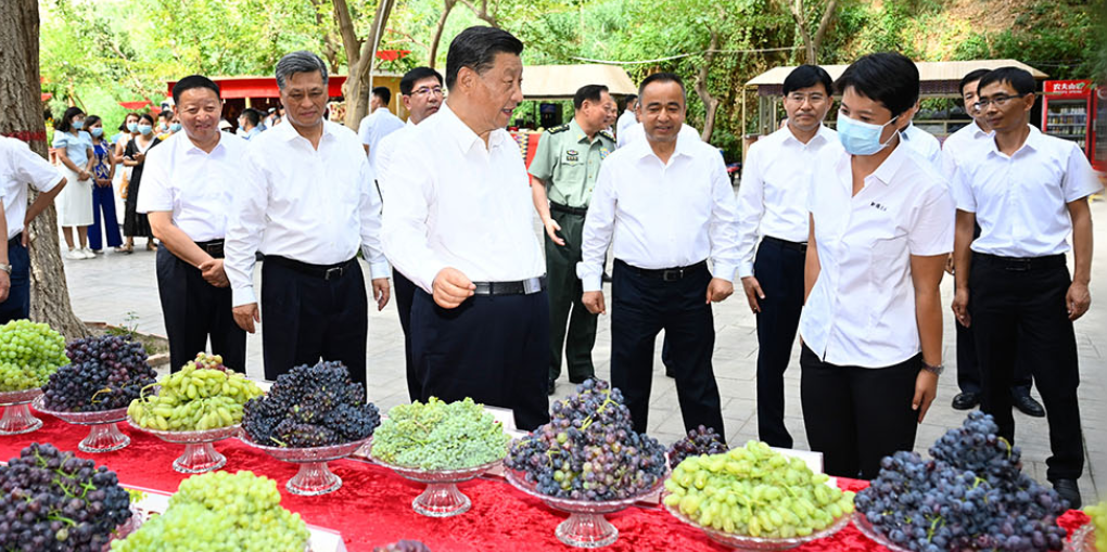 总书记为这些富民产业点赞