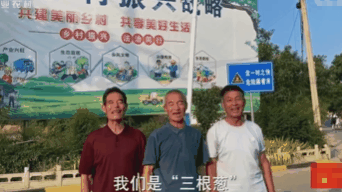 粉丝从1000到1000多万，“三根葱男团”凭啥？