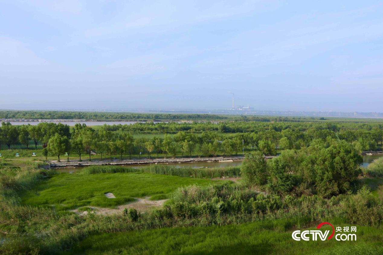 美丽中国·网络媒体生态行丨潼关黄河湿地：构筑陕西东大门生态屏障