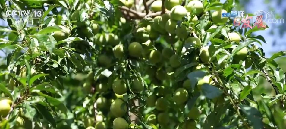  打开山门 交通畅达百业兴