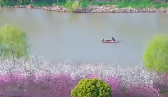 江苏宜兴：绘就宜居秀美画卷