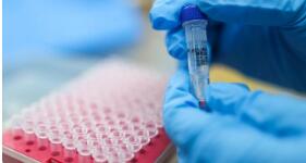 核酸大筛查期间 上海机场、铁路、国际客货运正常进行