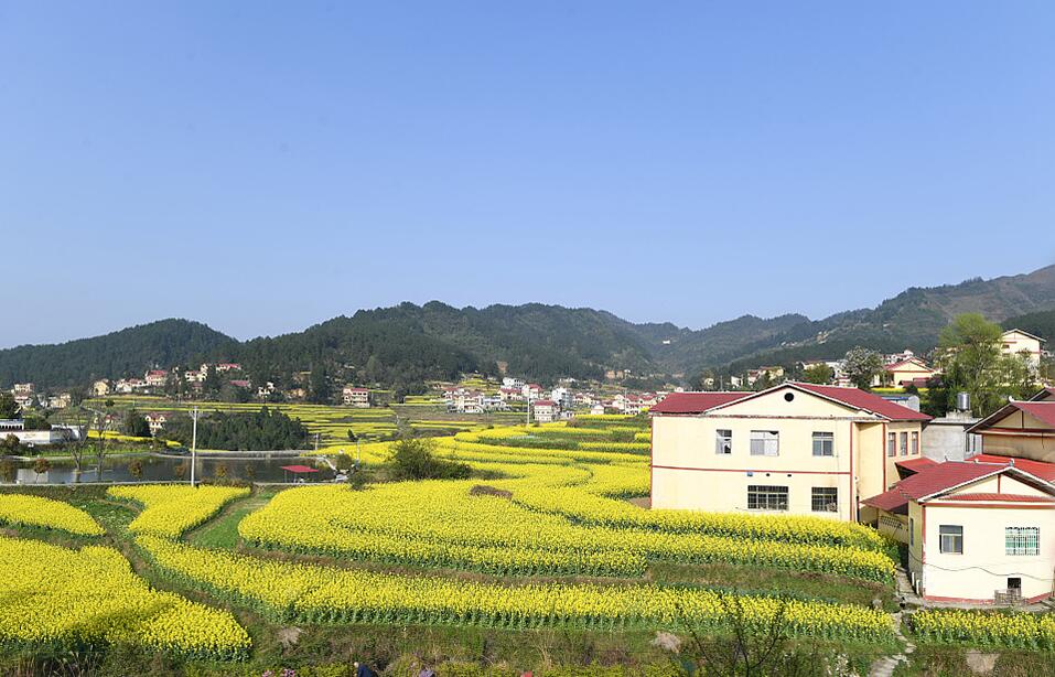 【奋进新征程 建功新时代·伟大变革】贵州大地的“千年之变”