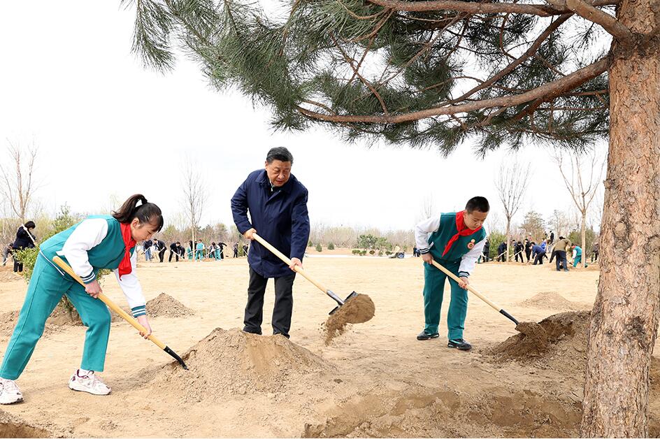 习近平参加首都义务植树活动