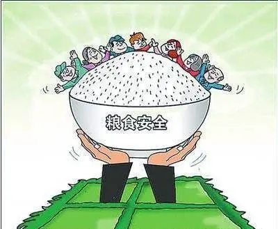 如何解决好吃饭问题？三个指标筑牢粮食安全基石