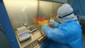 石家庄桥西区新增2例本土确诊病例，详情公布