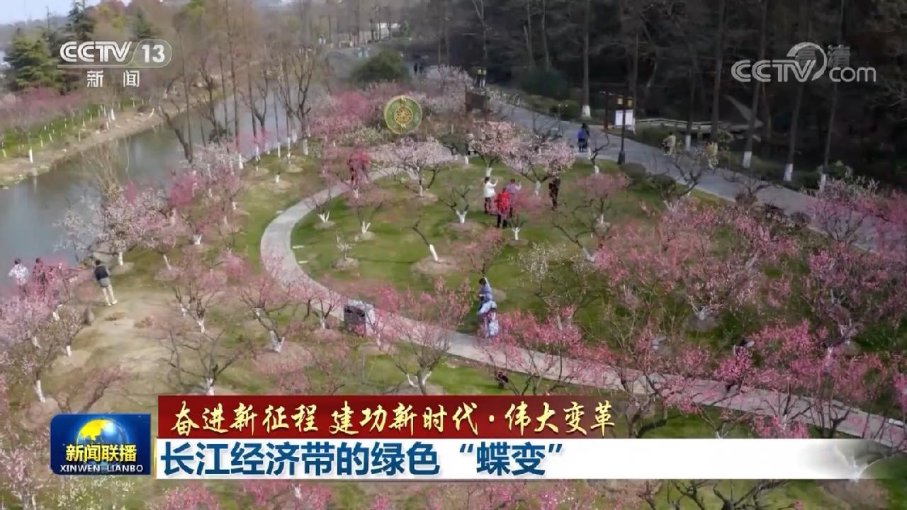  【奋进新征程 建功新时代·伟大变革】长江经济带的绿色“蝶变”