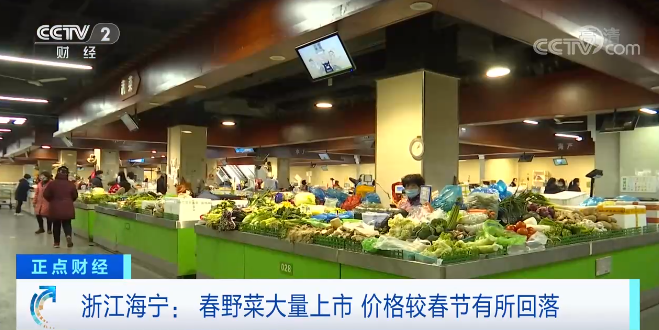 浙江海宁：春野菜大量上市 价格较春节有所回落