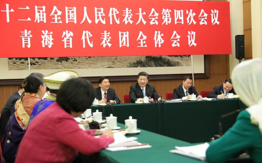 镜头里的总书记两会故事