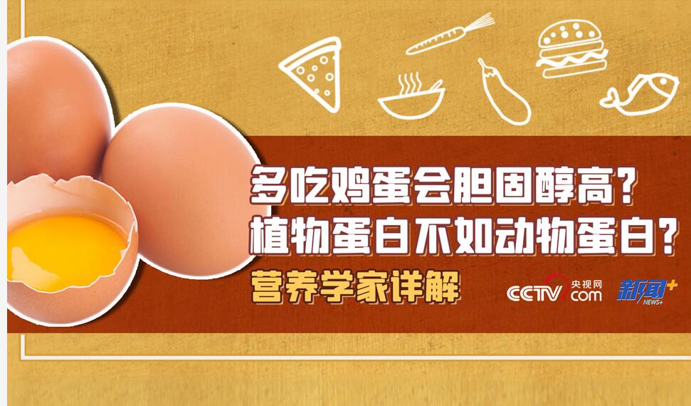 吃豆腐喝豆浆能代替吃肉吗？多吃鸡蛋会致胆固醇高吗？专家详解