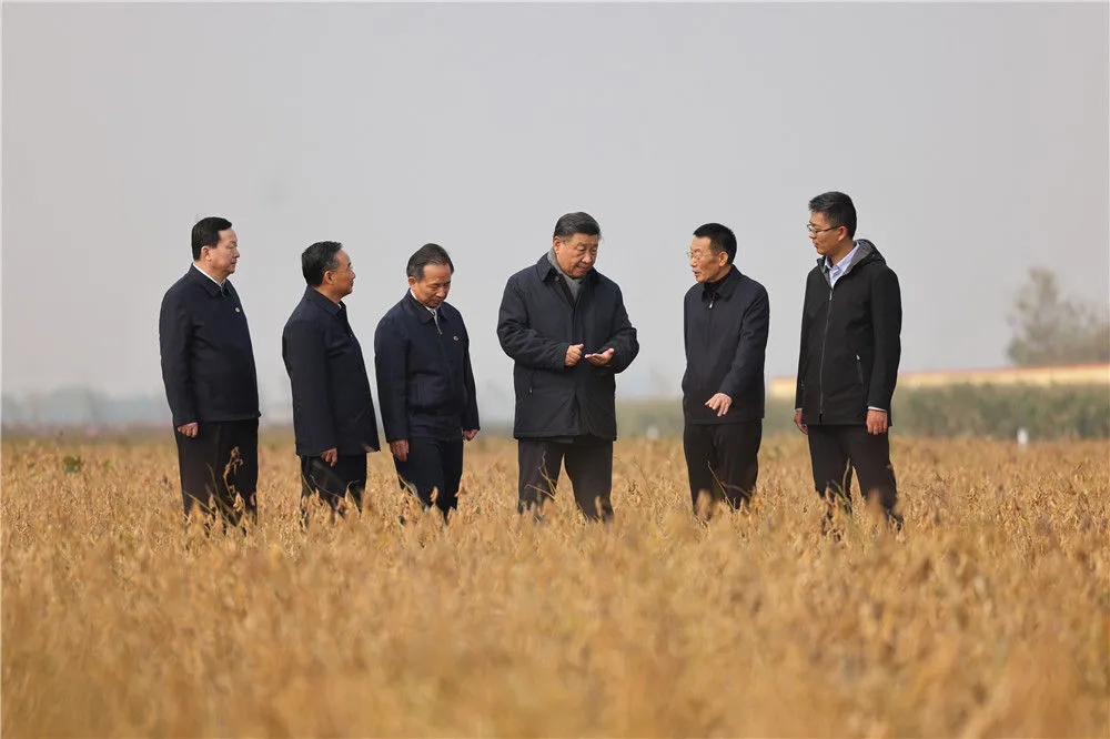 头条 · “盐碱地上长出了‘金疙瘩’！”