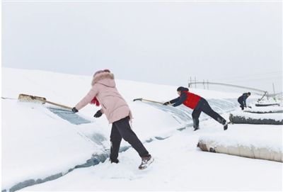 我国迎来一轮大范围雨雪天气 各地各部门积极应对