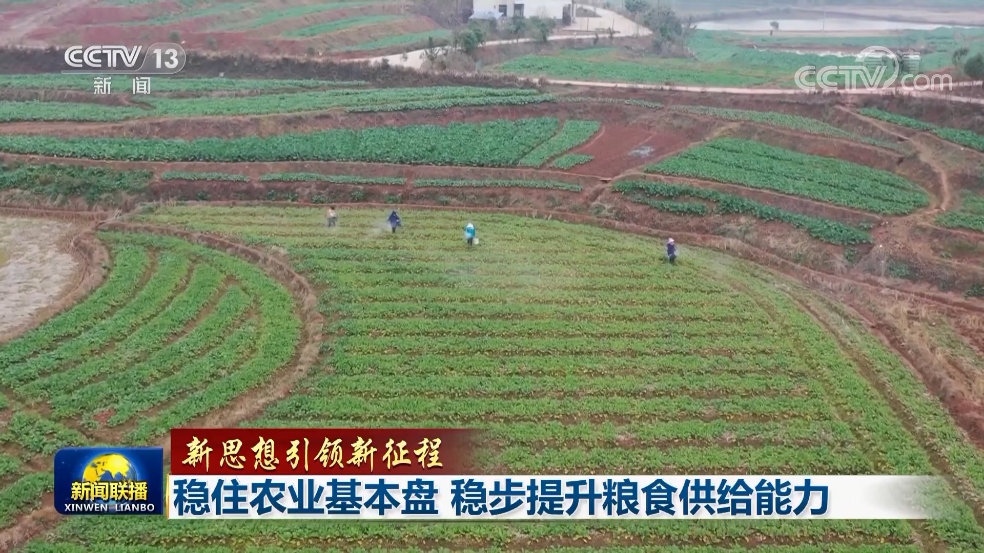 【新思想引领新征程】稳住农业基本盘 稳步提升粮食供给能力