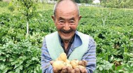 累计发放低保资金1670.6亿元（新数据 新看点）