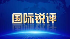 【国际锐评】在逃犯罪嫌疑人竟成座上宾 所谓“民主峰会”践踏民主