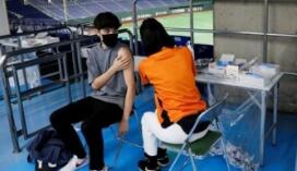 日本接种证明APP发行在即 近16万份基础数据出错