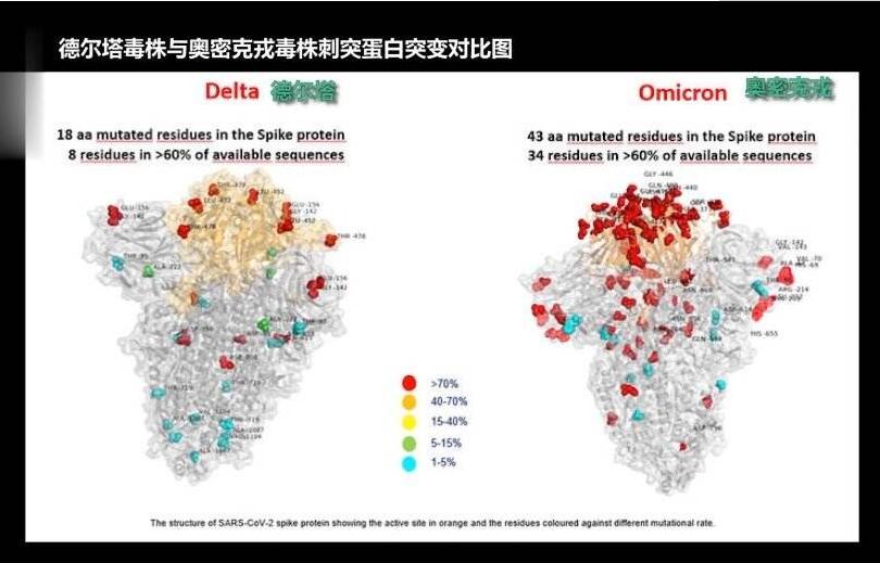 奥密克戎来了 中医药应对效果如何？