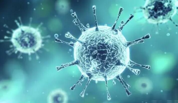 香港研究团队成功分离及培养新冠病毒奥密克戎变异株