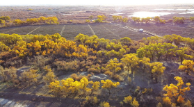 胡杨作证 大漠小城额济纳战“疫”记