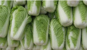 北京：冬储大白菜开卖 每斤不到1块钱