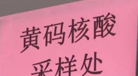 黄码不报备 擅自离开封控区……这些行为有什么后果？