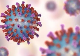 单日新增确诊病例超5万 德国科隆狂欢节仍照常开幕