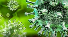 德尔塔“后代”凶猛：亚变异株AY.4.2已占英国病例1成