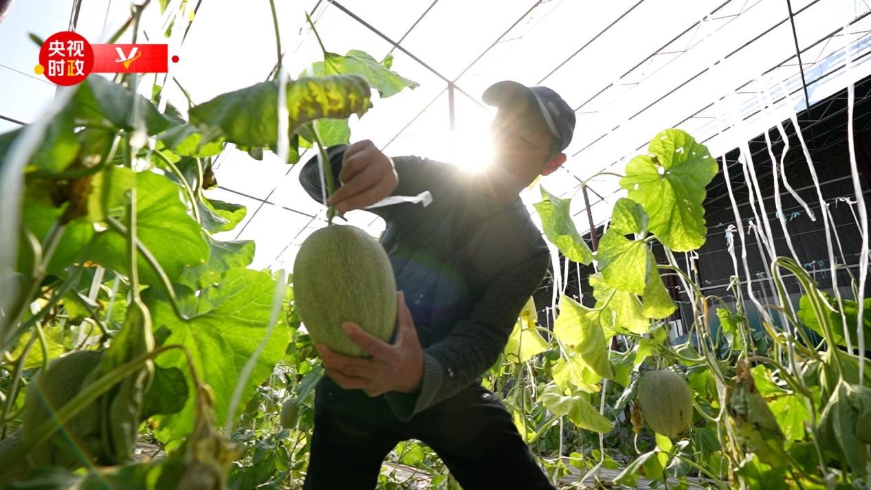 习近平山东行丨我家住在黄河边——走进东营杨庙社区